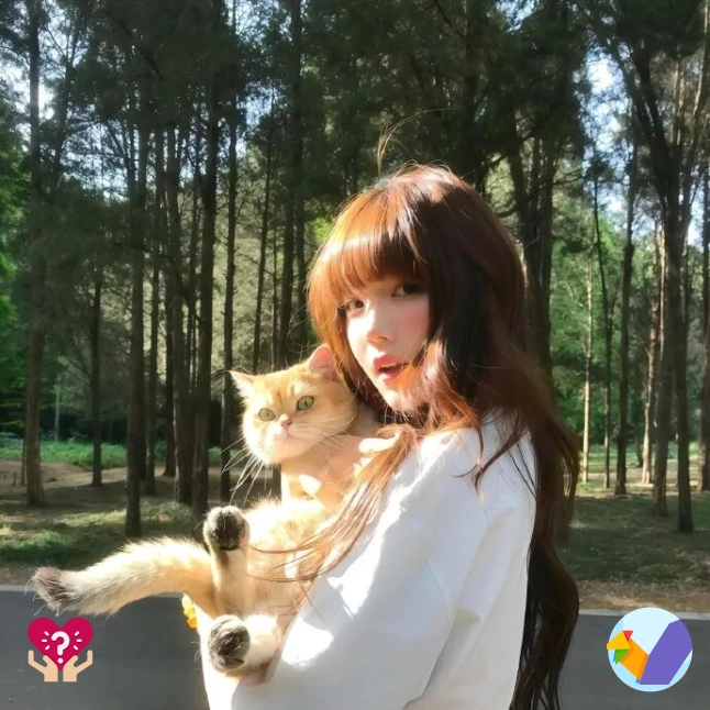 阿诚